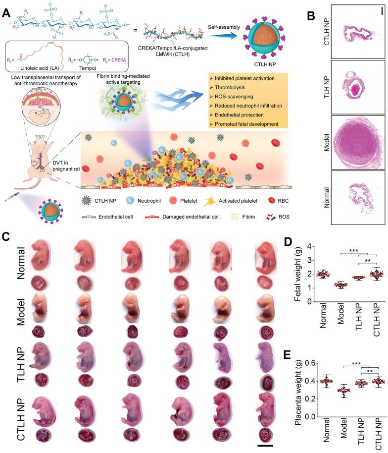 https://cdn.ncbi.nlm.nih.gov/pmc/blobs/6aab/11671389/376e9f33fad6/thnov15p0439g009.jpg