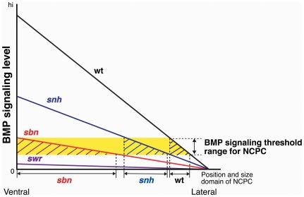 https://cdn.ncbi.nlm.nih.gov/pmc/blobs/6aab/3216922/63cd7567ae3d/pone.0027403.g006.jpg