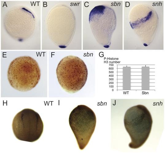 https://cdn.ncbi.nlm.nih.gov/pmc/blobs/6aab/3216922/b63ba357a5c3/pone.0027403.g001.jpg