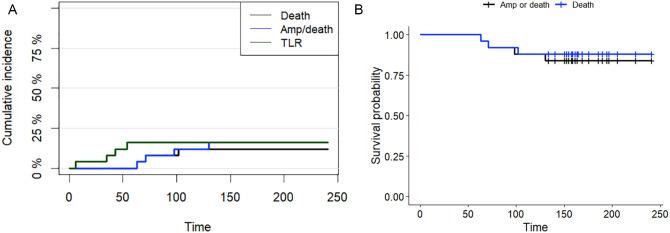 https://cdn.ncbi.nlm.nih.gov/pmc/blobs/6aab/8276341/b70732d534a2/10.1177_15266028211007457-fig2.jpg