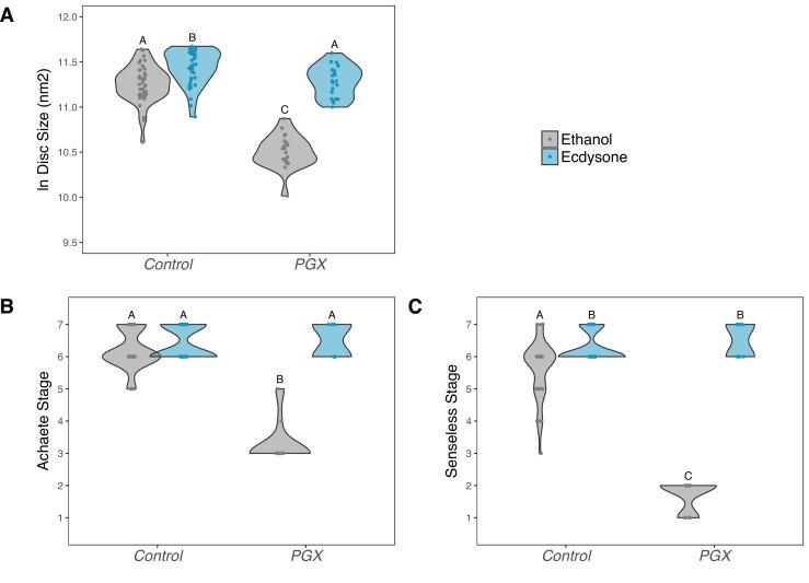 https://cdn.ncbi.nlm.nih.gov/pmc/blobs/6aae/8947767/97ff86e82824/elife-72666-fig4.jpg