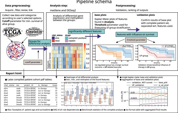 https://cdn.ncbi.nlm.nih.gov/pmc/blobs/6aaf/11698617/72558443402e/j_jib-2024-0031_fig_001.jpg