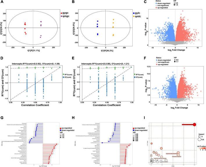 https://cdn.ncbi.nlm.nih.gov/pmc/blobs/6aaf/9854344/cd8aa125e750/fnut-09-1079325-g003.jpg