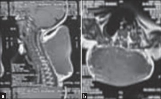 https://cdn.ncbi.nlm.nih.gov/pmc/blobs/6ab1/12316414/d6d9ff94c8c7/JIAPS-30-532-g002.jpg