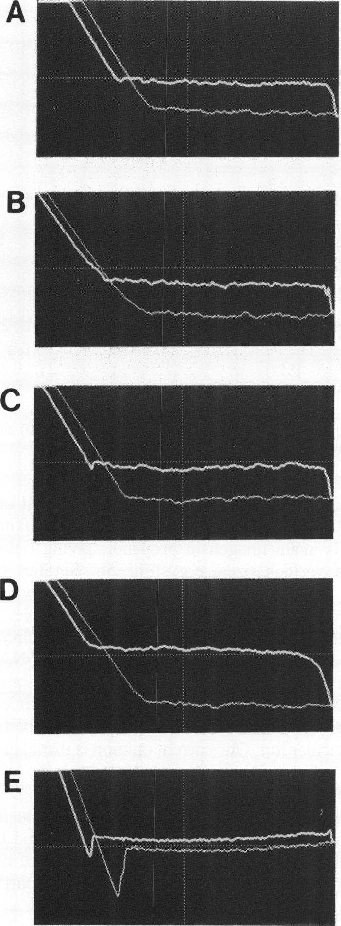 https://cdn.ncbi.nlm.nih.gov/pmc/blobs/6ab1/309146/a199778796a1/nar00052-0151-a.jpg