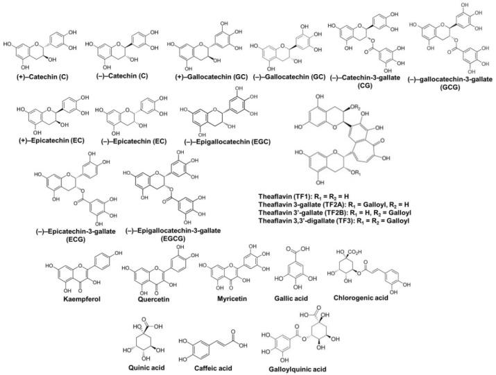 https://cdn.ncbi.nlm.nih.gov/pmc/blobs/6ab1/8430757/5a7b7f01d40e/ijms-22-09109-g001.jpg
