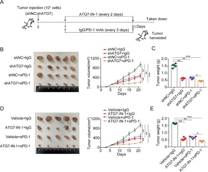 https://cdn.ncbi.nlm.nih.gov/pmc/blobs/6ab2/11020677/92a41b5d75c5/13046_2024_3023_Fig6_HTML.jpg