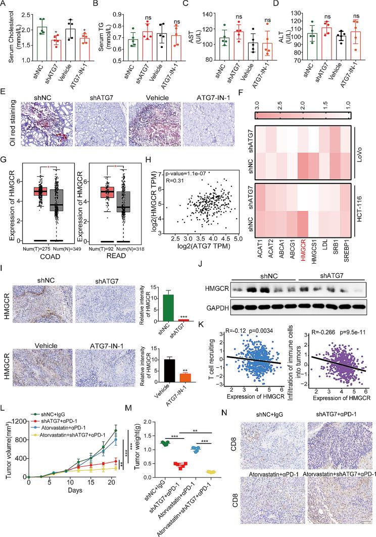 https://cdn.ncbi.nlm.nih.gov/pmc/blobs/6ab2/11020677/c2e1990adcc7/13046_2024_3023_Fig9_HTML.jpg
