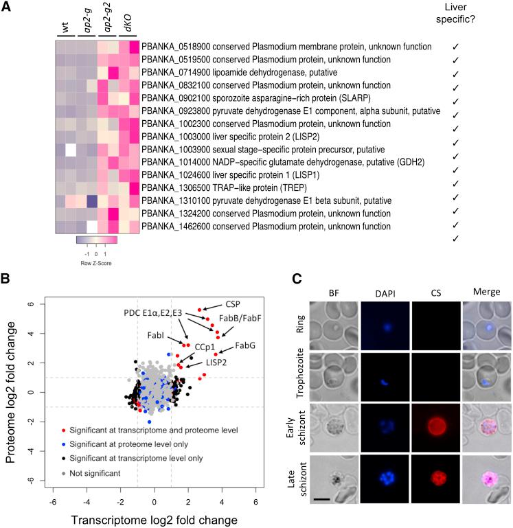 https://cdn.ncbi.nlm.nih.gov/pmc/blobs/6ab2/5241200/8f05aa9415ba/gr6.jpg