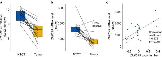 https://cdn.ncbi.nlm.nih.gov/pmc/blobs/6ab3/11442960/ae190a50d997/12105_2024_1695_Fig3_HTML.jpg