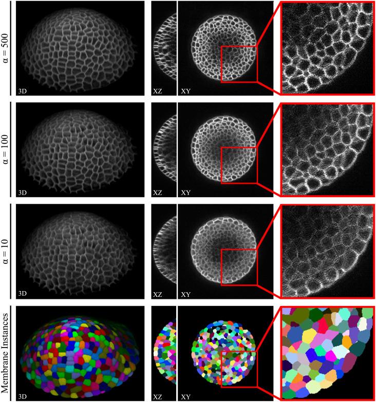 https://cdn.ncbi.nlm.nih.gov/pmc/blobs/6ab5/8639001/cab0339b6357/pone.0260509.g012.jpg