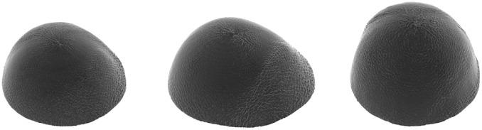 https://cdn.ncbi.nlm.nih.gov/pmc/blobs/6ab5/8639001/f1460bed9322/pone.0260509.g002.jpg