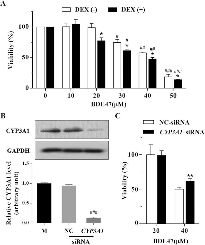 https://cdn.ncbi.nlm.nih.gov/pmc/blobs/6ab9/4992956/efd80516be53/srep31958-f2.jpg