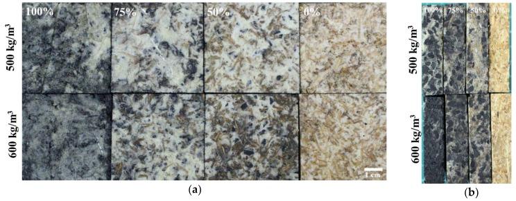 https://cdn.ncbi.nlm.nih.gov/pmc/blobs/6aba/6403940/4d6a56dd2591/polymers-10-01100-g003.jpg