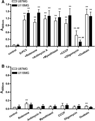 https://cdn.ncbi.nlm.nih.gov/pmc/blobs/6abb/3128697/9d7a2912050c/10495_2010_460_Fig5_HTML.jpg