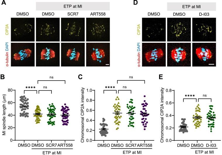 https://cdn.ncbi.nlm.nih.gov/pmc/blobs/6abc/11754672/b8e8fe2f574f/gkae1207fig5.jpg