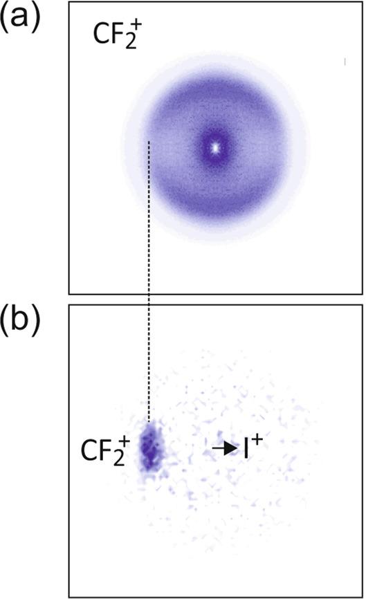https://cdn.ncbi.nlm.nih.gov/pmc/blobs/6abe/9814411/830f925cd27e/42004_2020_320_Fig3_HTML.jpg