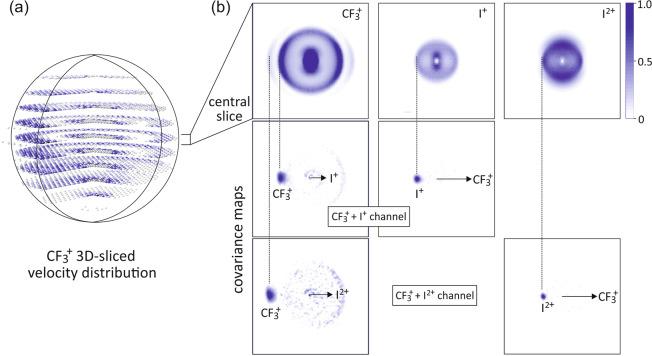 https://cdn.ncbi.nlm.nih.gov/pmc/blobs/6abe/9814411/b282fb07fe2a/42004_2020_320_Fig2_HTML.jpg