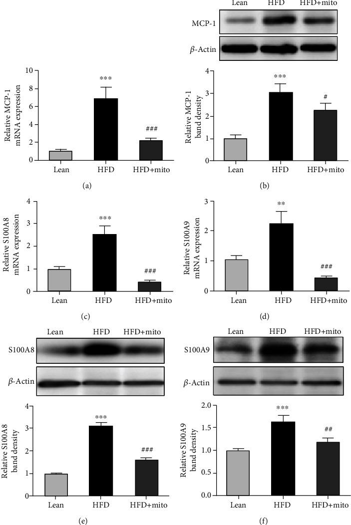 https://cdn.ncbi.nlm.nih.gov/pmc/blobs/6abf/7414374/ad664f4a681f/BMRI2020-9329427.004.jpg