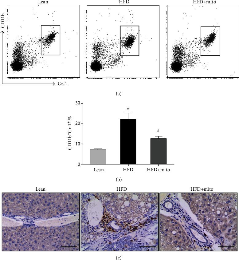 https://cdn.ncbi.nlm.nih.gov/pmc/blobs/6abf/7414374/ed5cf2cf6394/BMRI2020-9329427.003.jpg
