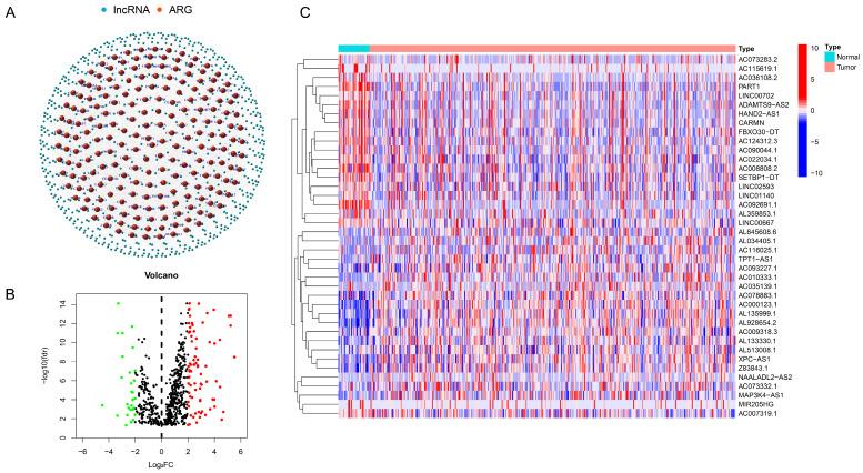 https://cdn.ncbi.nlm.nih.gov/pmc/blobs/6ac0/11428253/7fffcbac12d6/bioengineering-11-00893-g001.jpg