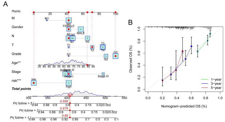 https://cdn.ncbi.nlm.nih.gov/pmc/blobs/6ac0/11428253/fa2753a14076/bioengineering-11-00893-g005.jpg