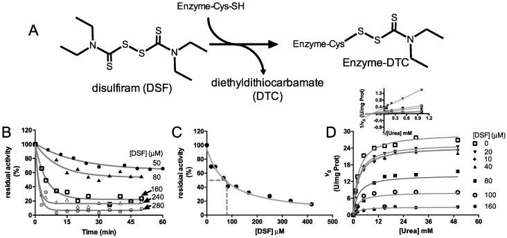 https://cdn.ncbi.nlm.nih.gov/pmc/blobs/6ac0/6274061/7a770052589f/molecules-21-01628-g002.jpg