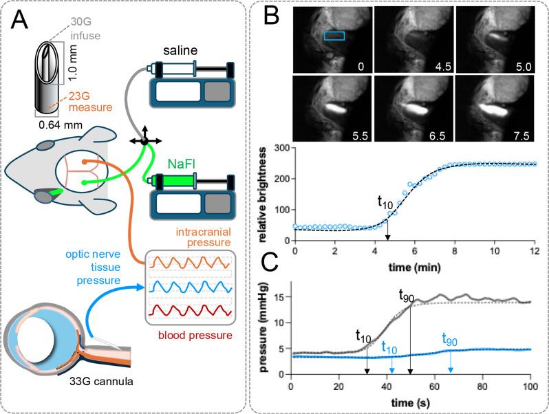 https://cdn.ncbi.nlm.nih.gov/pmc/blobs/6ac1/12522424/36f138cdc292/12987_2025_714_Fig1_HTML.jpg