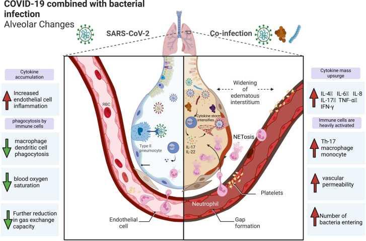 https://cdn.ncbi.nlm.nih.gov/pmc/blobs/6ac2/12153053/2eba38955016/gr5.jpg