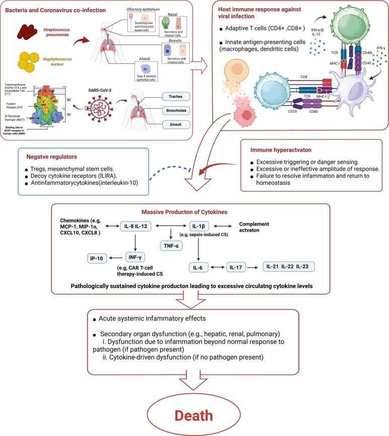 https://cdn.ncbi.nlm.nih.gov/pmc/blobs/6ac2/12153053/62eebd41dc3c/gr2.jpg