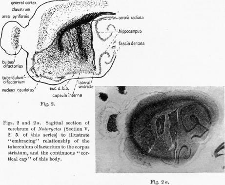 https://cdn.ncbi.nlm.nih.gov/pmc/blobs/6ac7/1262924/0fbd3750a93e/janat00594-0008-a.jpg