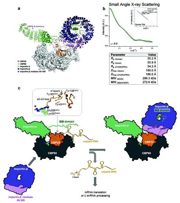 https://cdn.ncbi.nlm.nih.gov/pmc/blobs/6ac7/2782468/330824d039ff/nihms130663f4.jpg