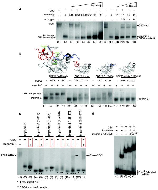 https://cdn.ncbi.nlm.nih.gov/pmc/blobs/6ac7/2782468/499fcab7c778/nihms130663f2.jpg