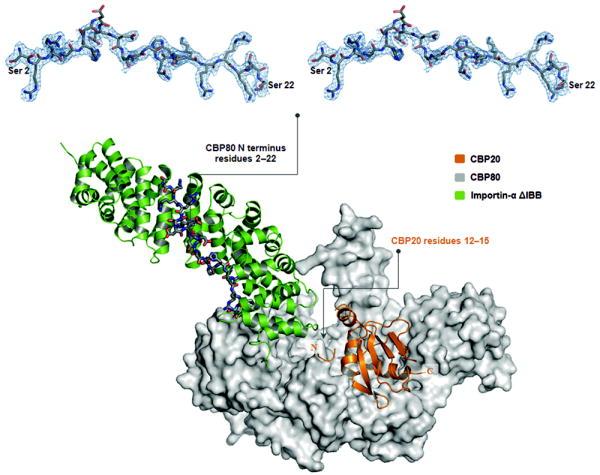 https://cdn.ncbi.nlm.nih.gov/pmc/blobs/6ac7/2782468/6a73e5ed1840/nihms130663f1.jpg