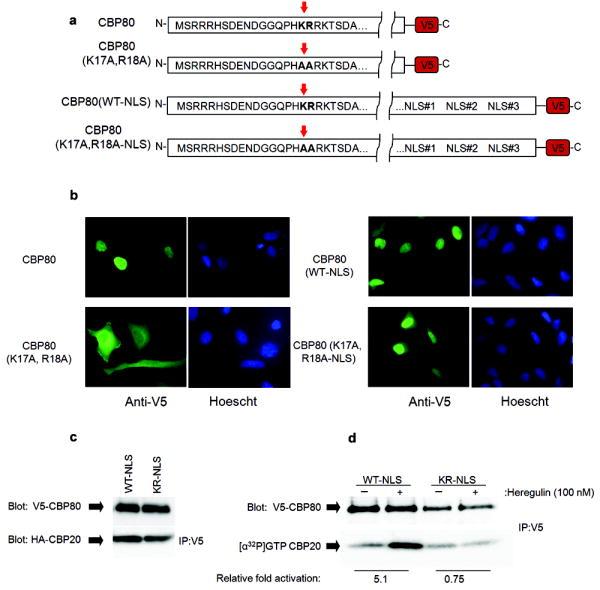 https://cdn.ncbi.nlm.nih.gov/pmc/blobs/6ac7/2782468/de1026997477/nihms130663f5.jpg