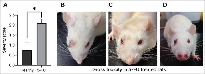 https://cdn.ncbi.nlm.nih.gov/pmc/blobs/6acc/12184472/da108f0f0e30/OpenVetJ-15-1958-g004.jpg