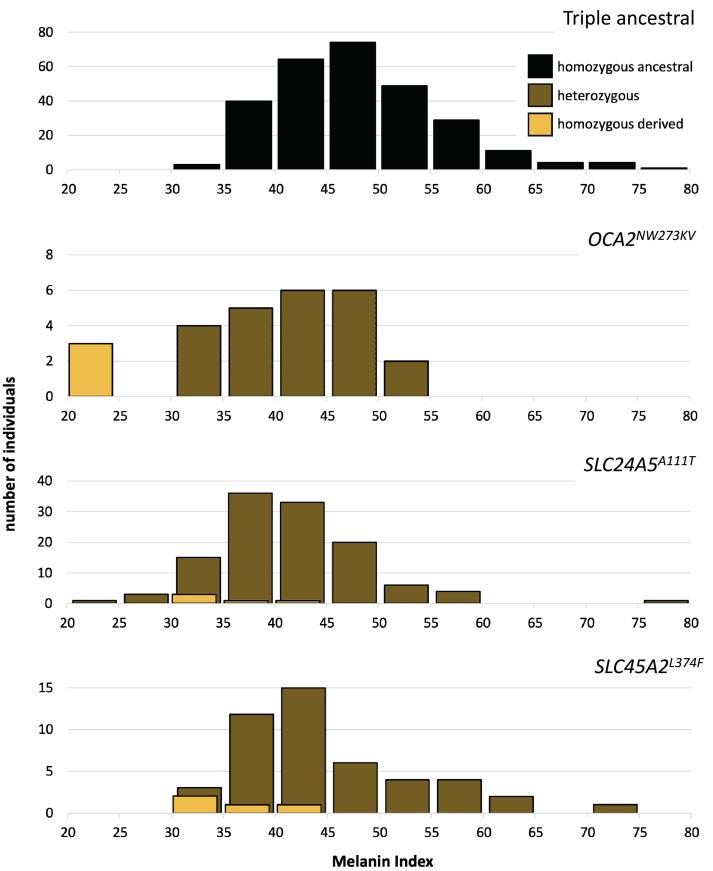 https://cdn.ncbi.nlm.nih.gov/pmc/blobs/6acd/10371226/46b9af165122/elife-77514-fig4.jpg