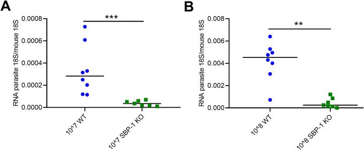 https://cdn.ncbi.nlm.nih.gov/pmc/blobs/6acd/8659713/24f3404a4cea/ppat.1010114.g001.jpg