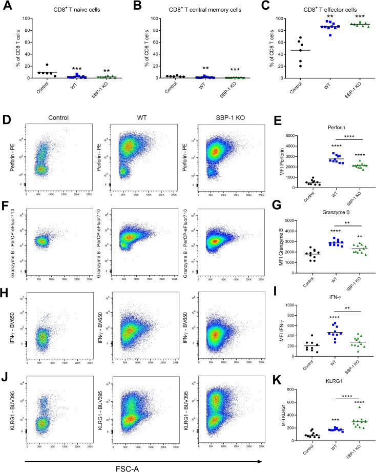 https://cdn.ncbi.nlm.nih.gov/pmc/blobs/6acd/8659713/33bb5aefb5e8/ppat.1010114.g009.jpg