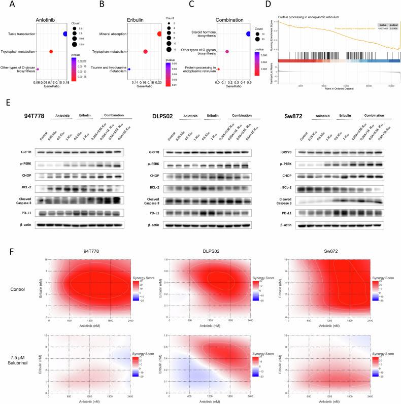 https://cdn.ncbi.nlm.nih.gov/pmc/blobs/6ace/11310505/9230d9a71984/41420_2024_2103_Fig5_HTML.jpg