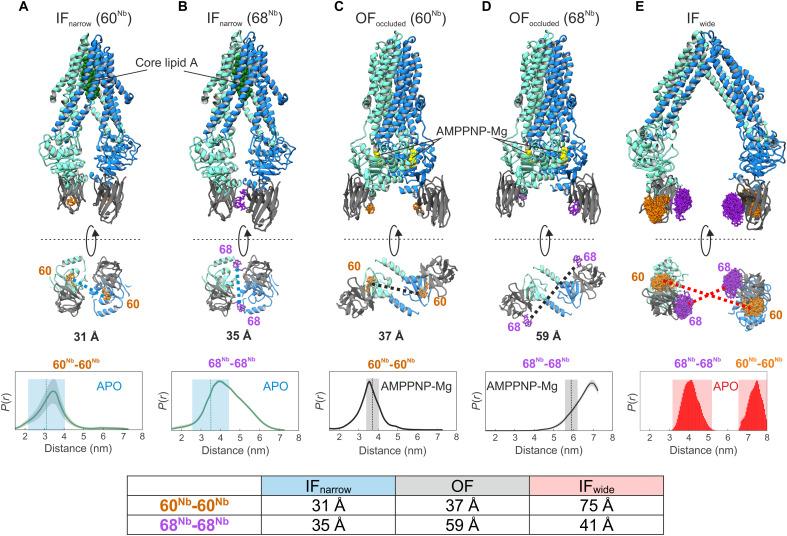 https://cdn.ncbi.nlm.nih.gov/pmc/blobs/6ace/9555771/2d18310e55ca/sciadv.abn6845-f1.jpg