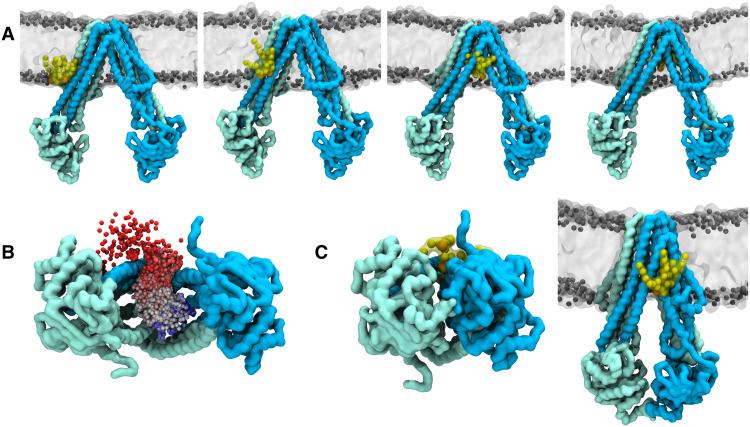 https://cdn.ncbi.nlm.nih.gov/pmc/blobs/6ace/9555771/4fe216b04f1b/sciadv.abn6845-f5.jpg