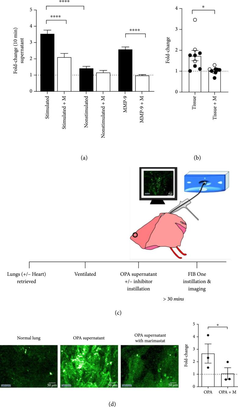https://cdn.ncbi.nlm.nih.gov/pmc/blobs/6ad0/10530652/cb94c382111b/9834163.fig.002.jpg