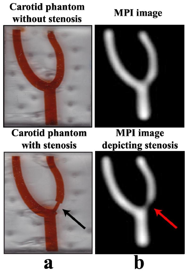 https://cdn.ncbi.nlm.nih.gov/pmc/blobs/6ad0/3794803/00a4c977c7ba/ijms-14-18682f3.jpg