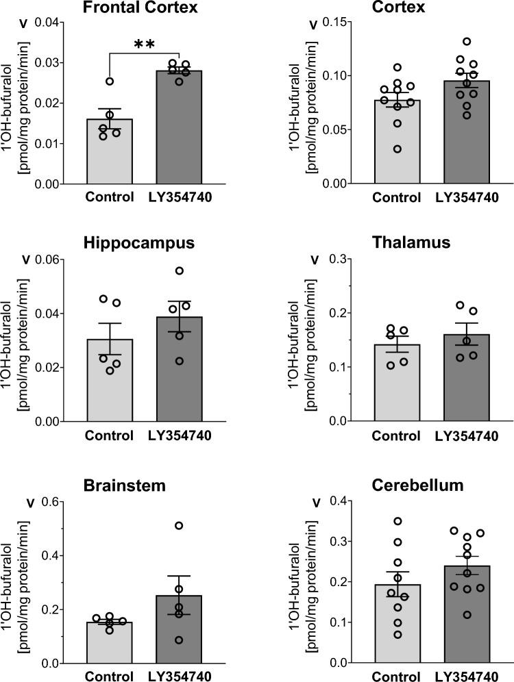https://cdn.ncbi.nlm.nih.gov/pmc/blobs/6ad3/11582139/0dbc10fb5dde/43440_2024_675_Fig1_HTML.jpg
