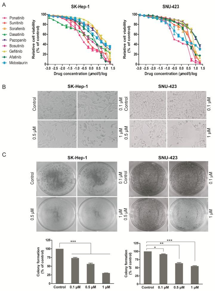 https://cdn.ncbi.nlm.nih.gov/pmc/blobs/6ad3/6480565/da639debc788/molecules-24-01363-g001.jpg
