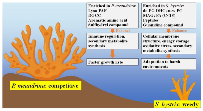https://cdn.ncbi.nlm.nih.gov/pmc/blobs/6ad3/9693324/af9f7390c0ca/metabolites-12-01079-g006.jpg