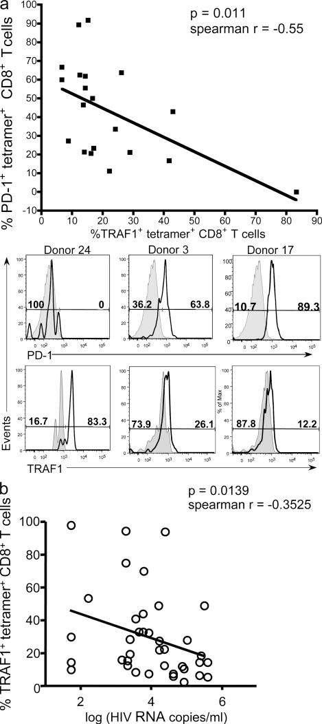 https://cdn.ncbi.nlm.nih.gov/pmc/blobs/6ad7/3260874/5e6ef99f2764/JEM_20110675_Fig2.jpg