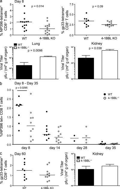 https://cdn.ncbi.nlm.nih.gov/pmc/blobs/6ad7/3260874/8f9e5eaae586/JEM_20110675_Fig5.jpg