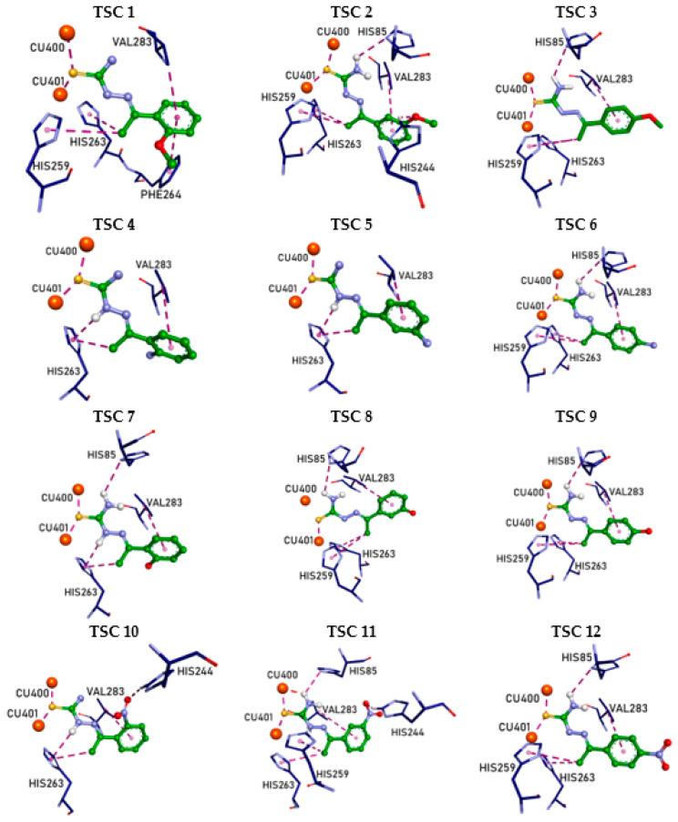 https://cdn.ncbi.nlm.nih.gov/pmc/blobs/6ad7/7831505/891bbdcafed9/pharmaceuticals-14-00074-g006.jpg